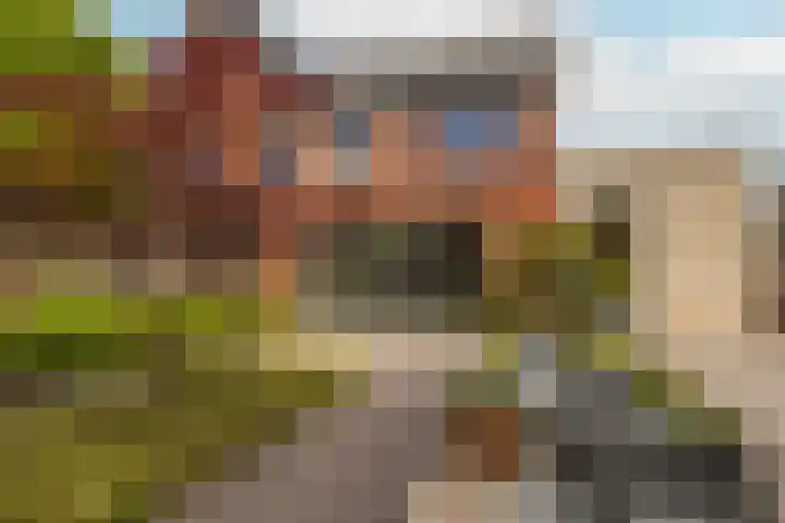 Reehorsterweg 21 B Ede thumbnail 40