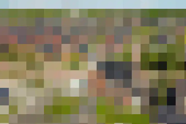 Reehorsterweg 21 B Ede thumbnail 45