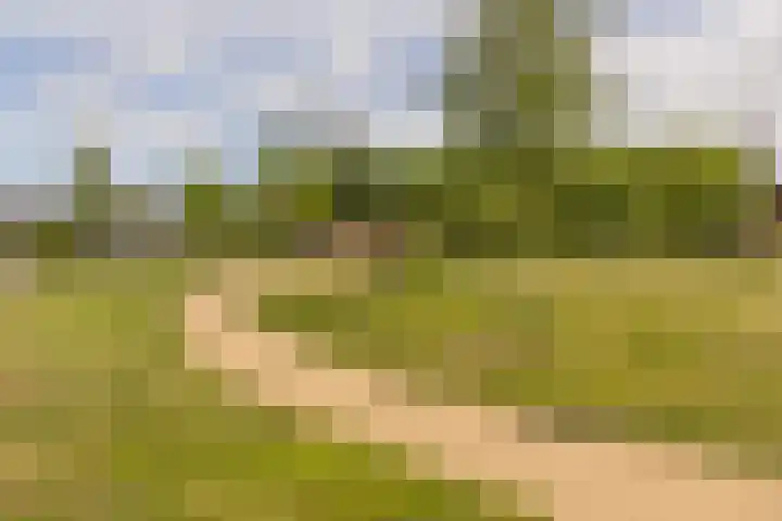 Reehorsterweg 21 B Ede thumbnail 47