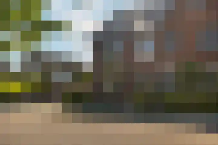 Reehorsterweg 21 B Ede thumbnail 49