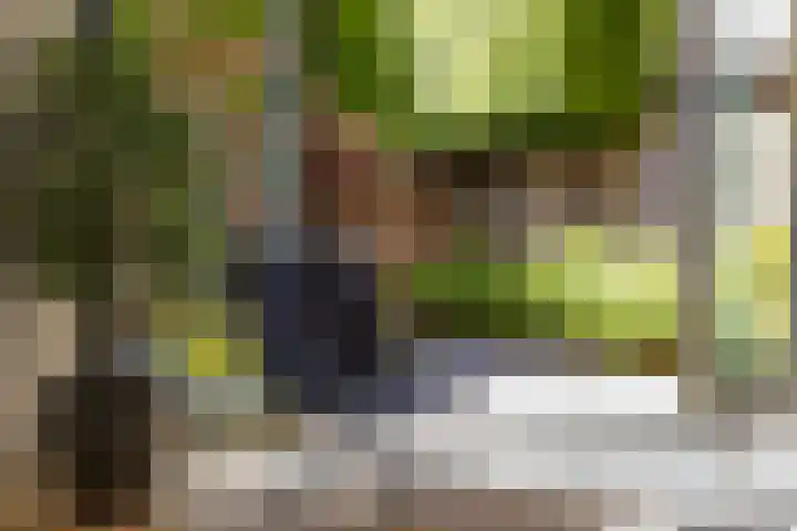Reehorsterweg 21 B Ede thumbnail 9
