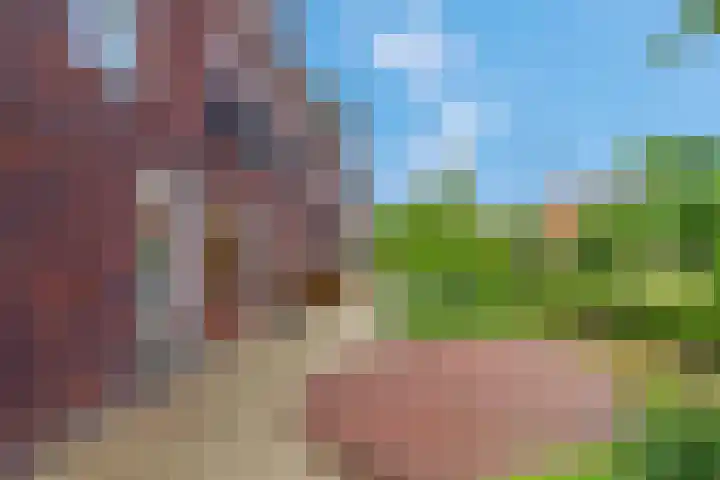 Reehorsterweg 27 E Ede thumbnail 25
