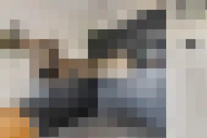 Reehorsterweg 27 E Ede thumbnail 9