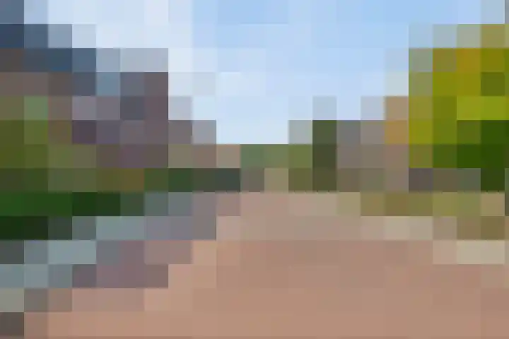 Reehorsterweg 27 G Ede thumbnail 28