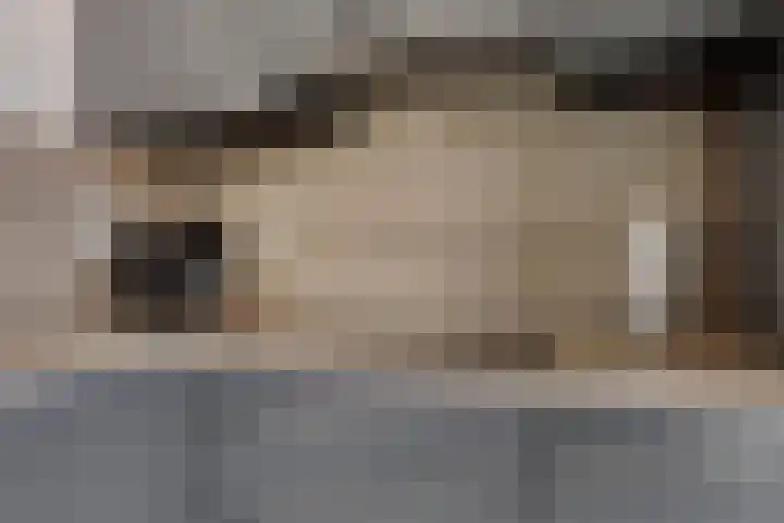 Reehorsterweg 27 G Ede thumbnail 9