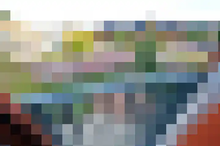 Reehorsterweg 27 J Ede thumbnail 4