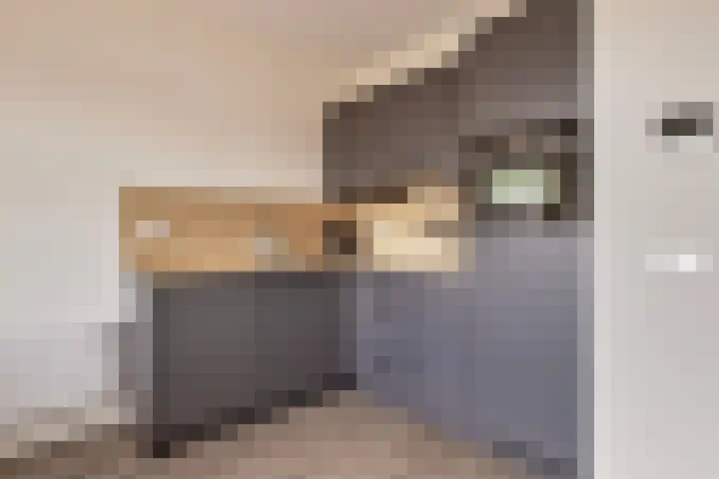 Reehorsterweg 27 M Ede thumbnail 9