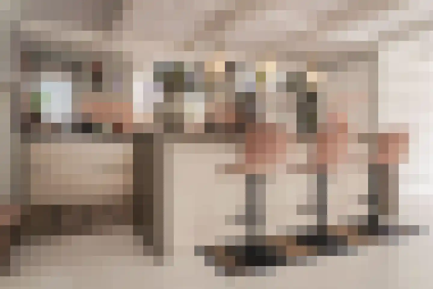 Reek 21 Bennebroek thumbnail 17