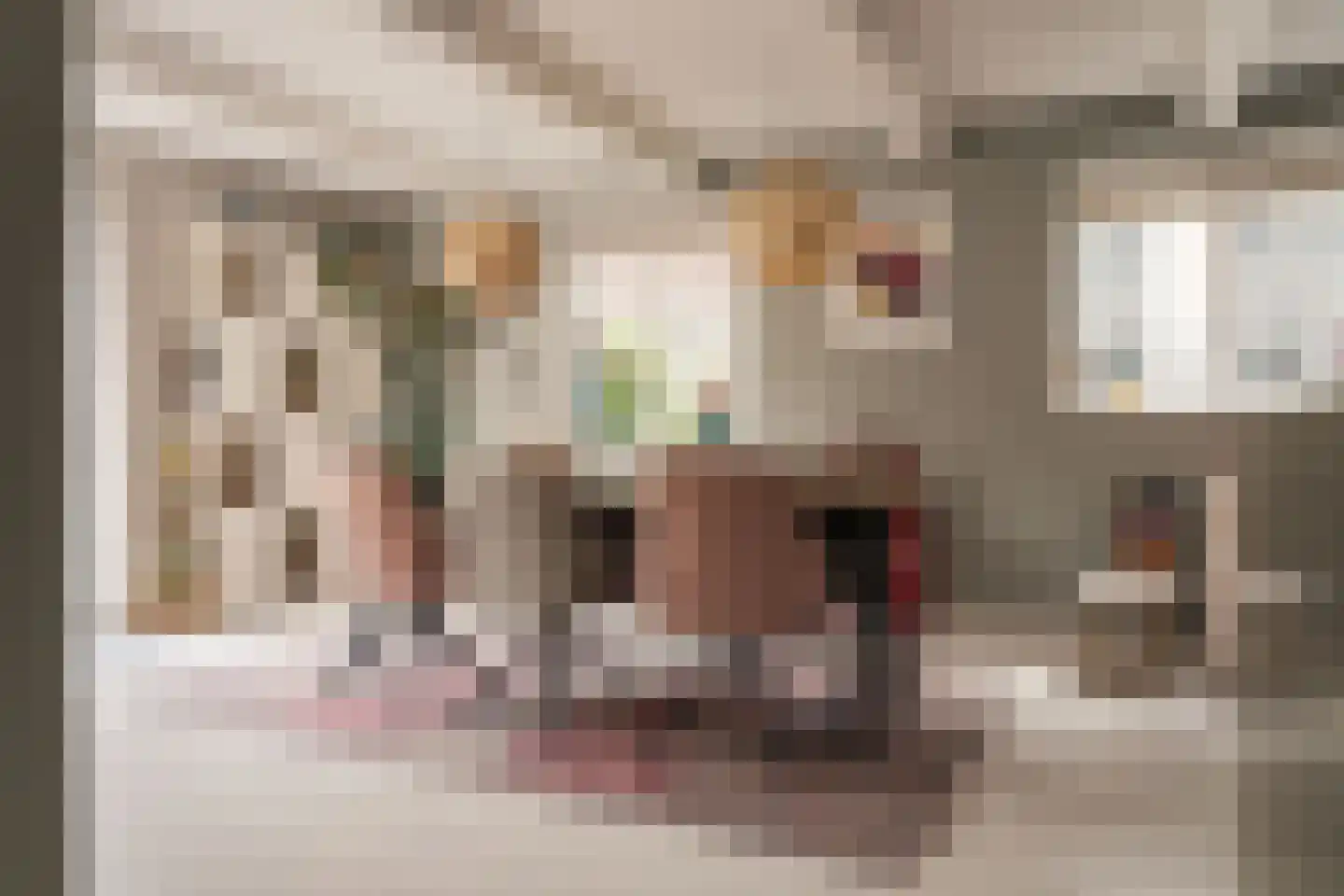 Reek 21 Bennebroek thumbnail 21