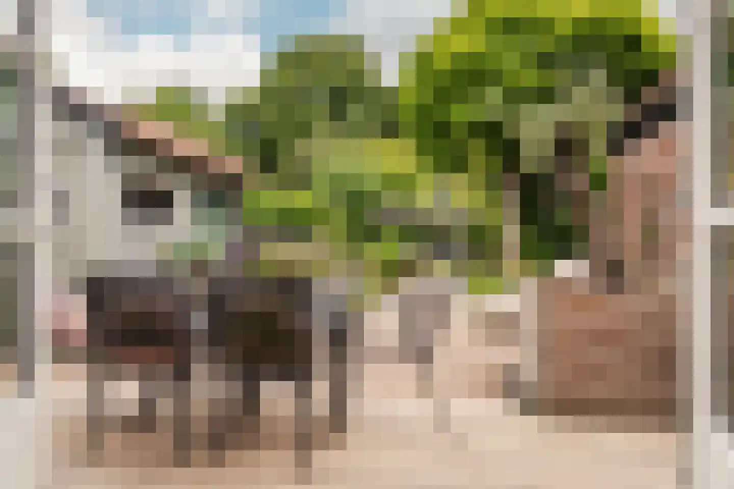 Reek 21 Bennebroek thumbnail 24