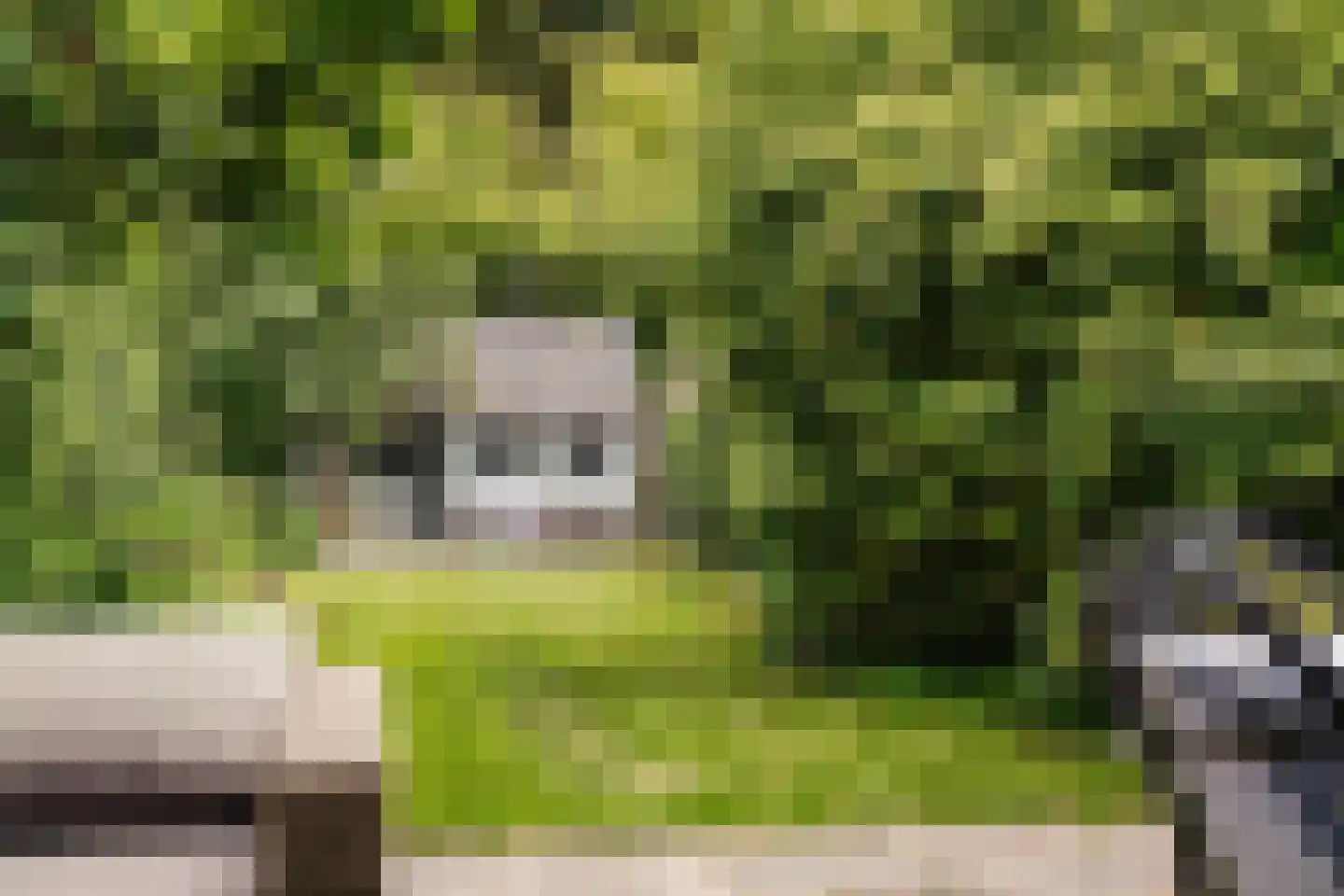 Reek 21 Bennebroek thumbnail 26