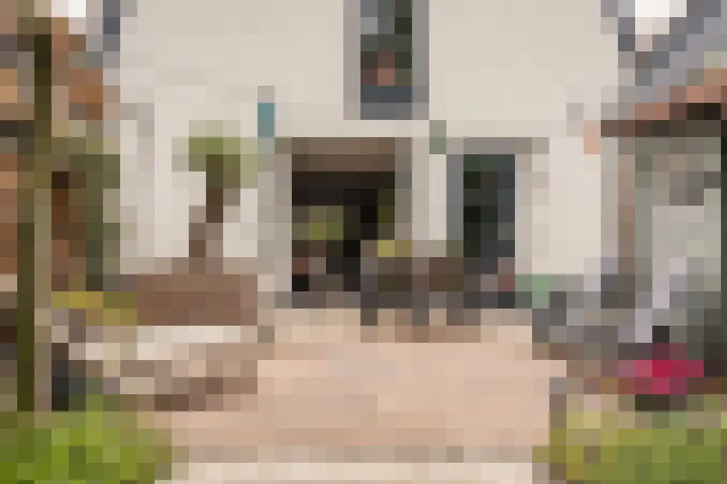 Reek 21 Bennebroek thumbnail 27