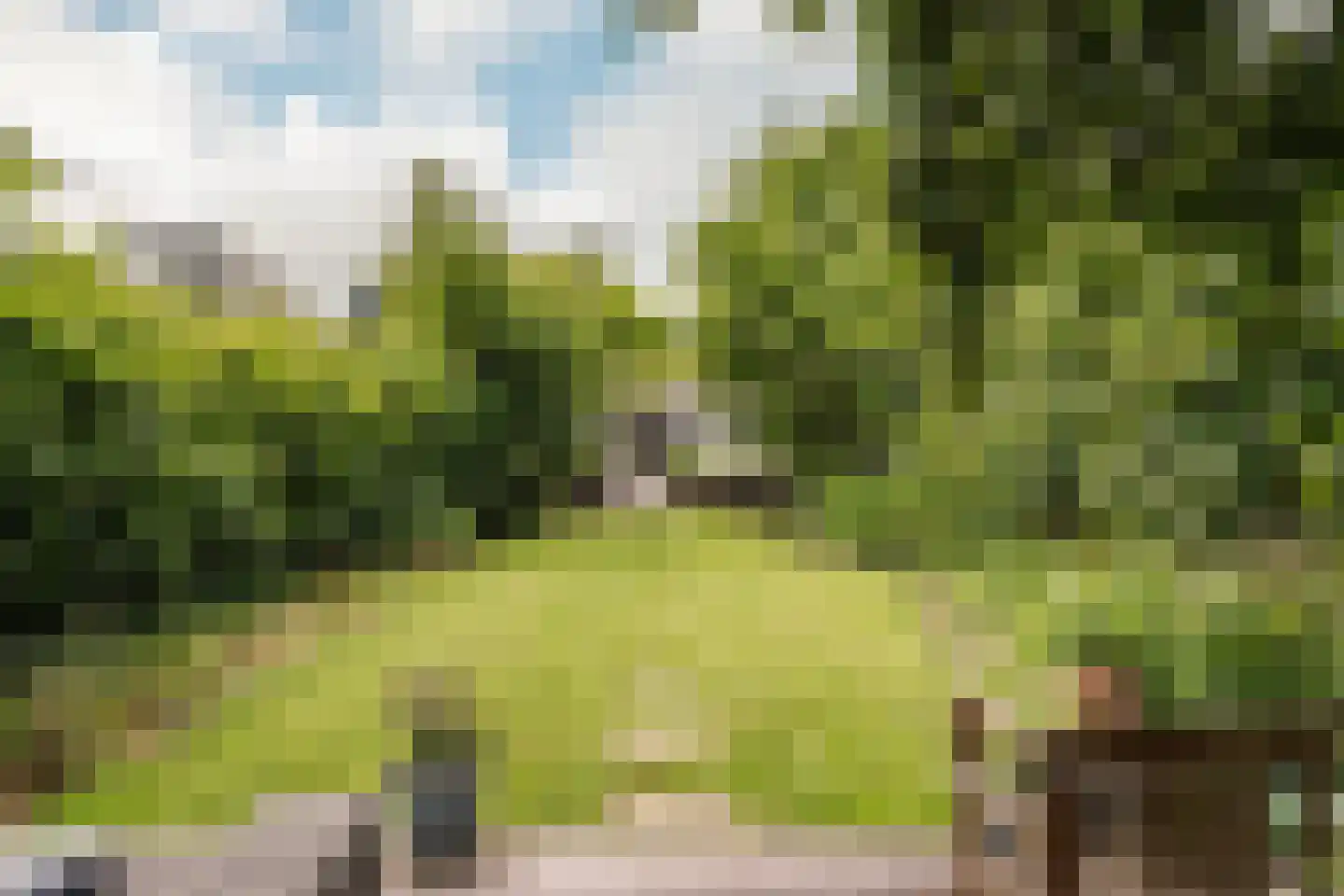 Reek 21 Bennebroek thumbnail 29