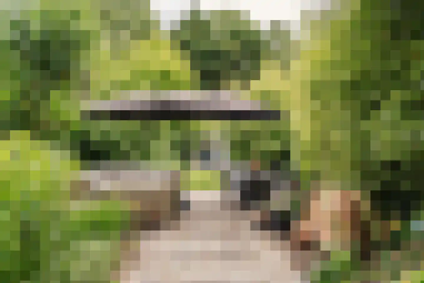 Reek 21 Bennebroek thumbnail 30
