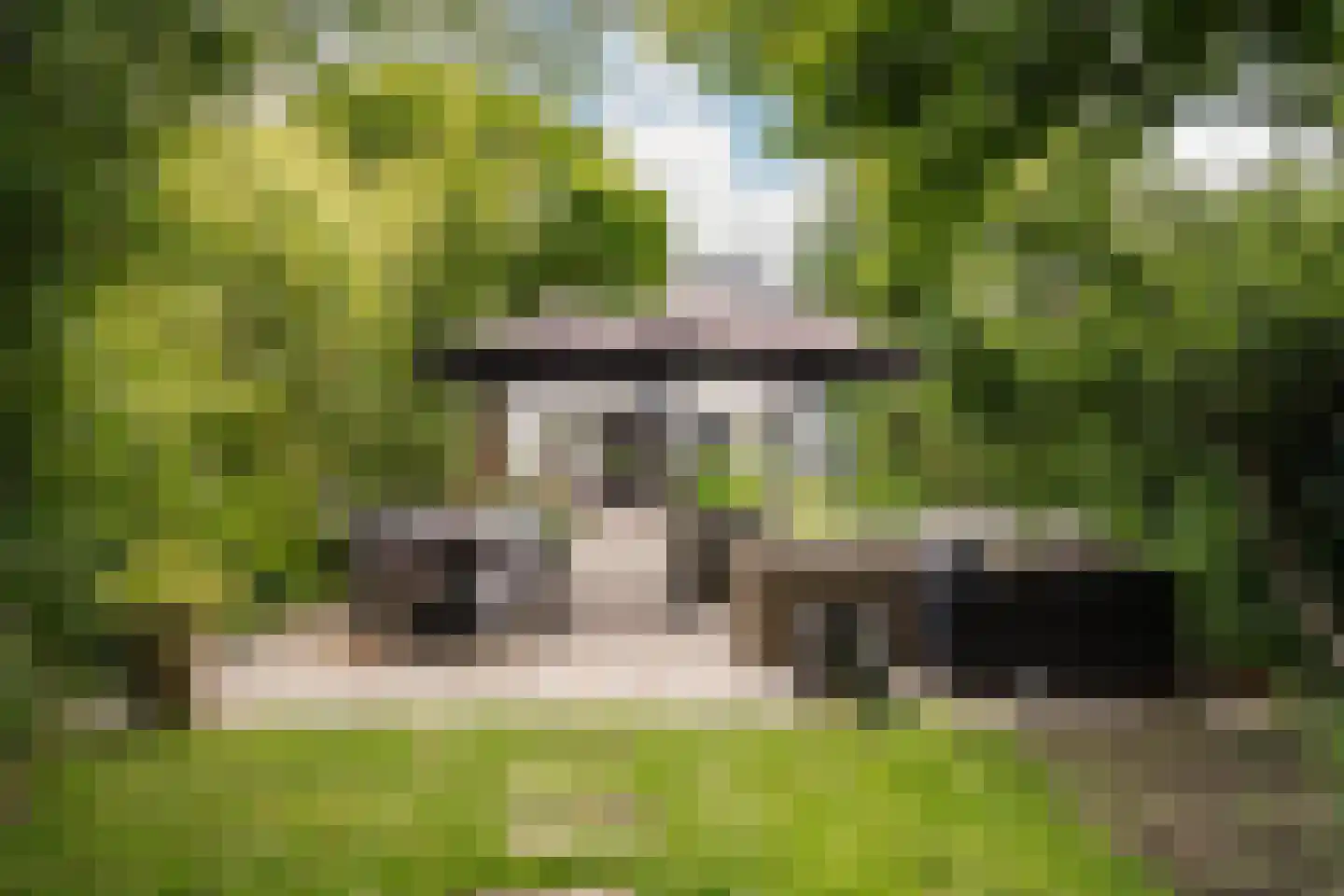 Reek 21 Bennebroek thumbnail 31