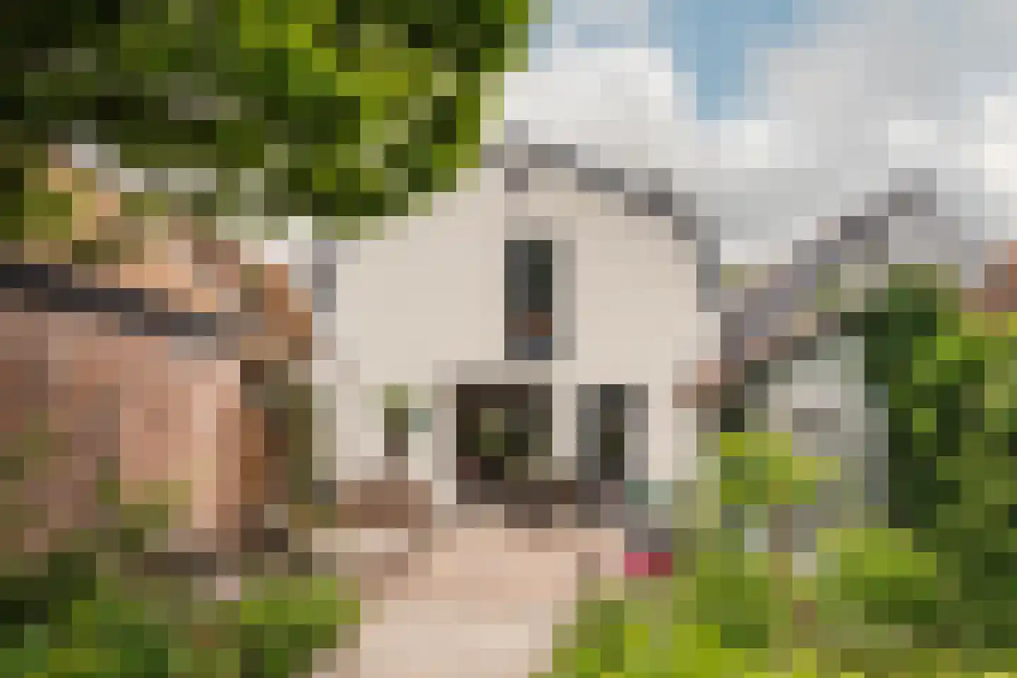 Reek 21 Bennebroek thumbnail 32