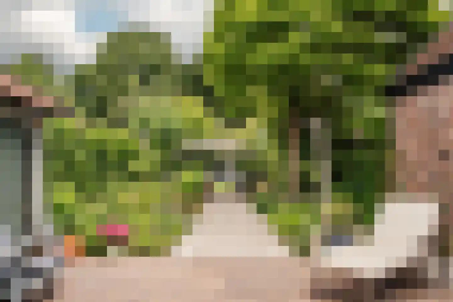 Reek 21 Bennebroek thumbnail 4