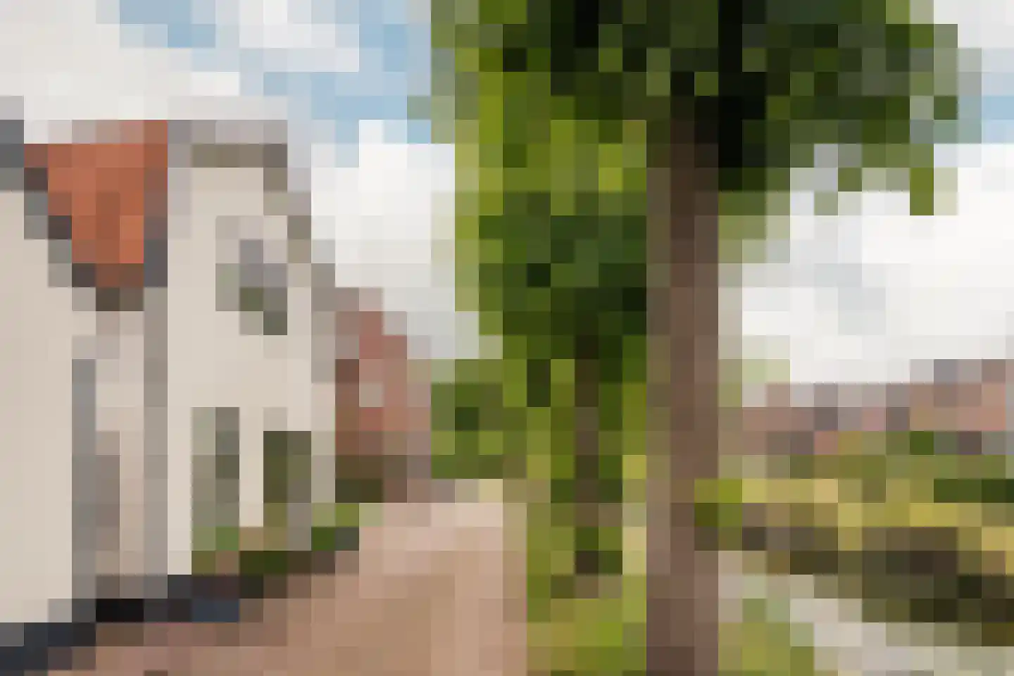 Reek 21 Bennebroek thumbnail 51