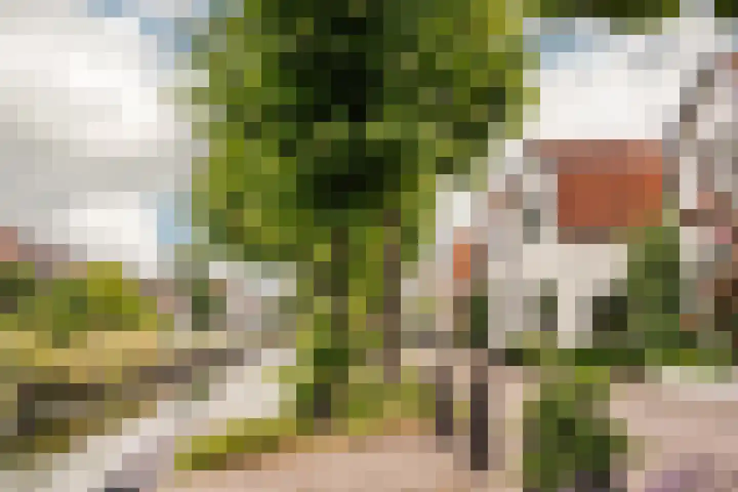 Reek 21 Bennebroek thumbnail 52