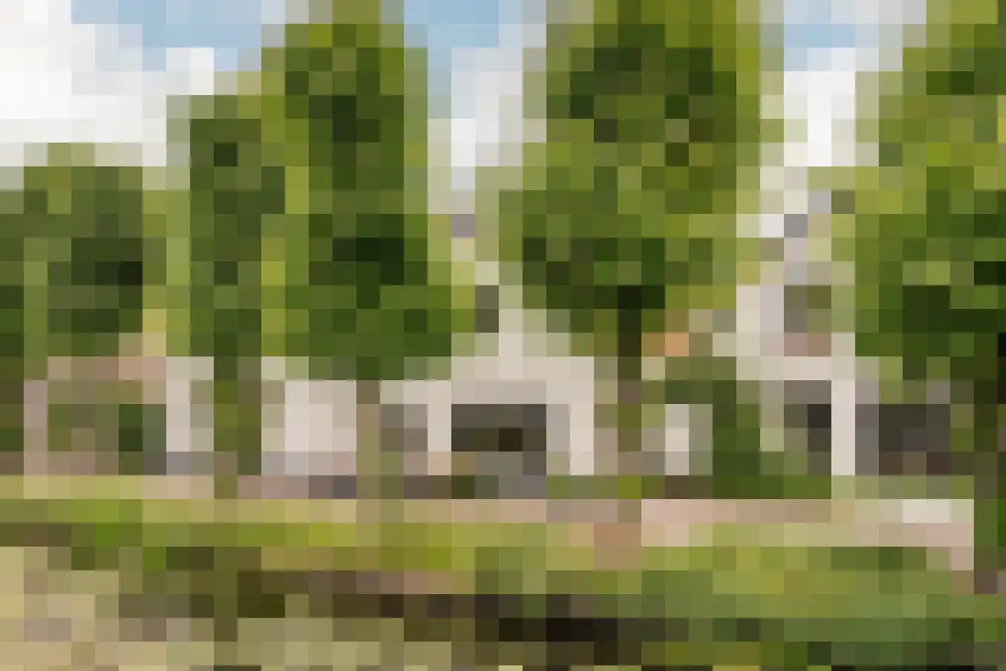 Reek 21 Bennebroek thumbnail 56