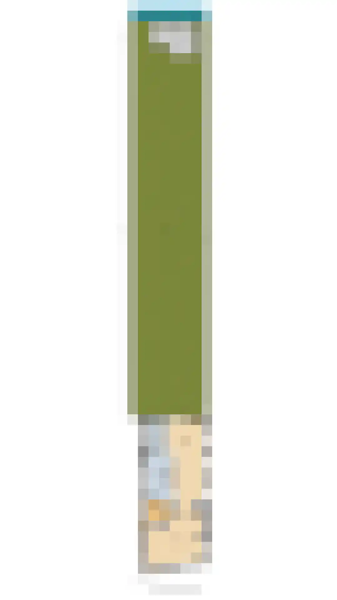 Reek 21 Bennebroek thumbnail 59