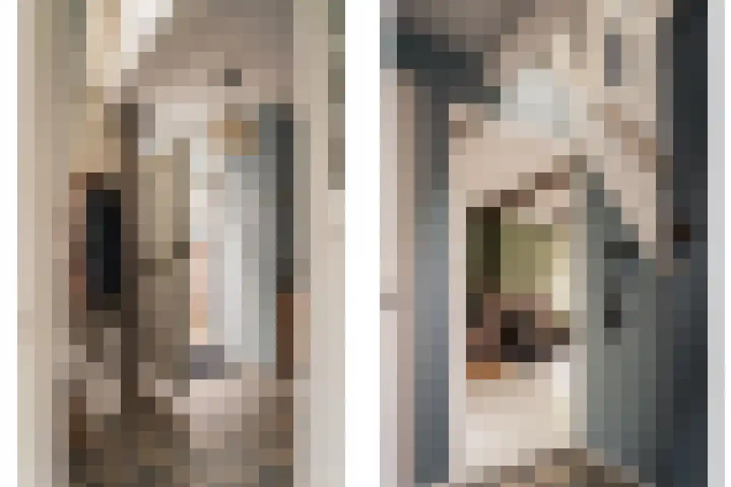 Reek 21 Bennebroek thumbnail 6