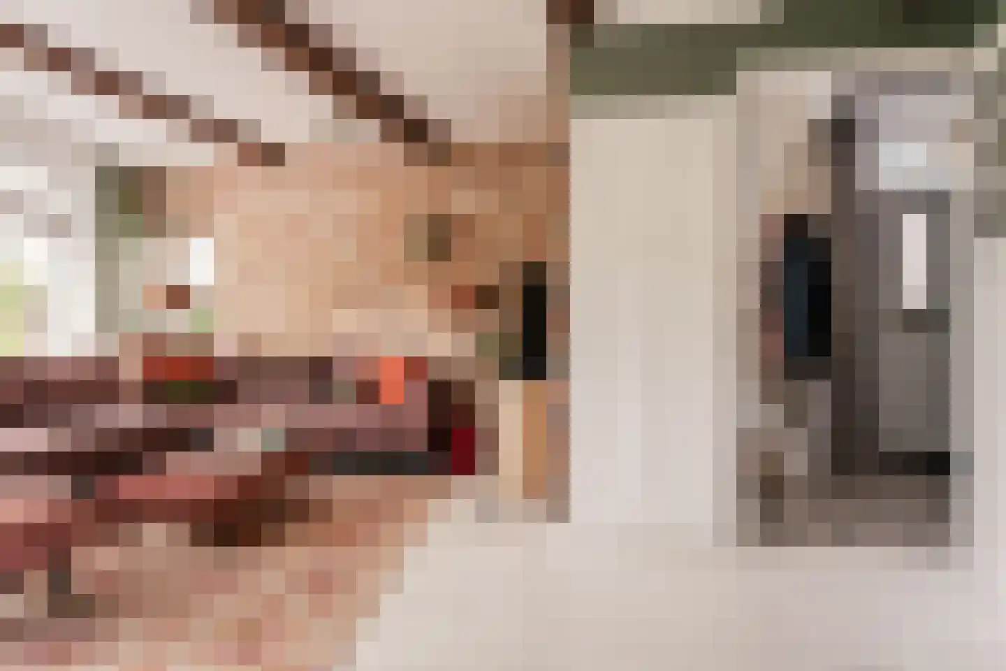 Reek 21 Bennebroek thumbnail 7