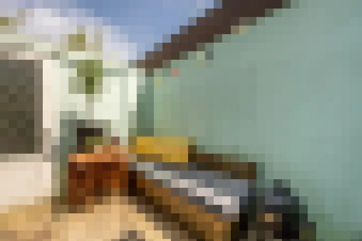 Reek 8 Bennebroek thumbnail 10