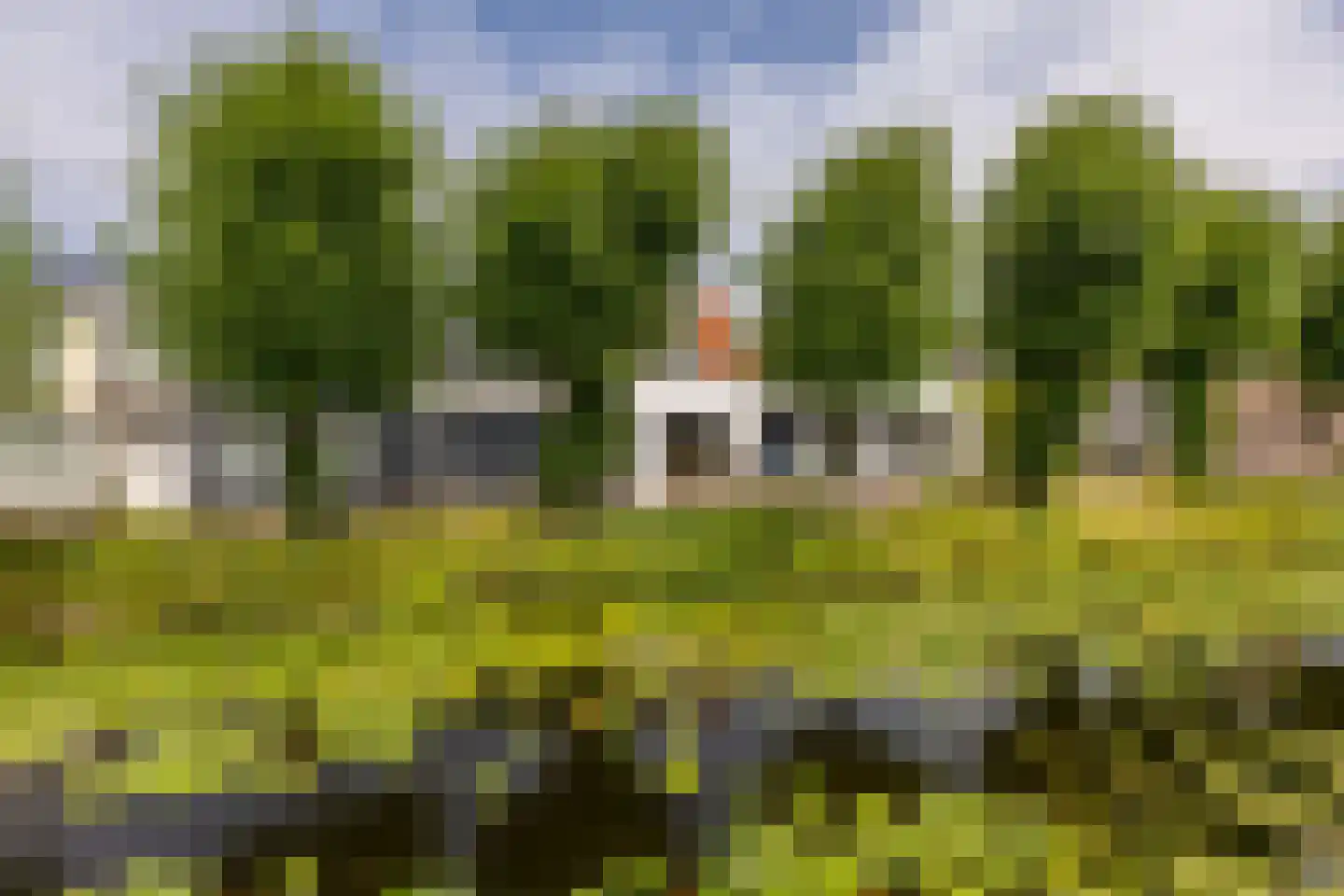 Reek 8 Bennebroek thumbnail 23