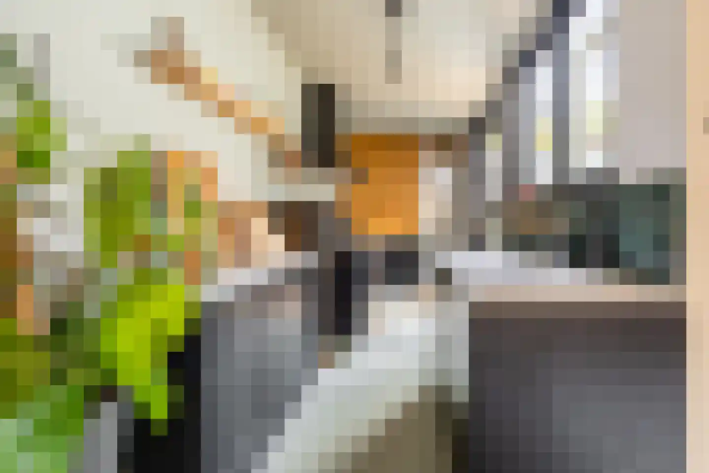 Reek 8 Bennebroek thumbnail 7