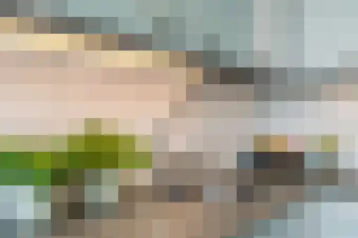 Reekerkooglaan 10 Heerhugowaard thumbnail 10