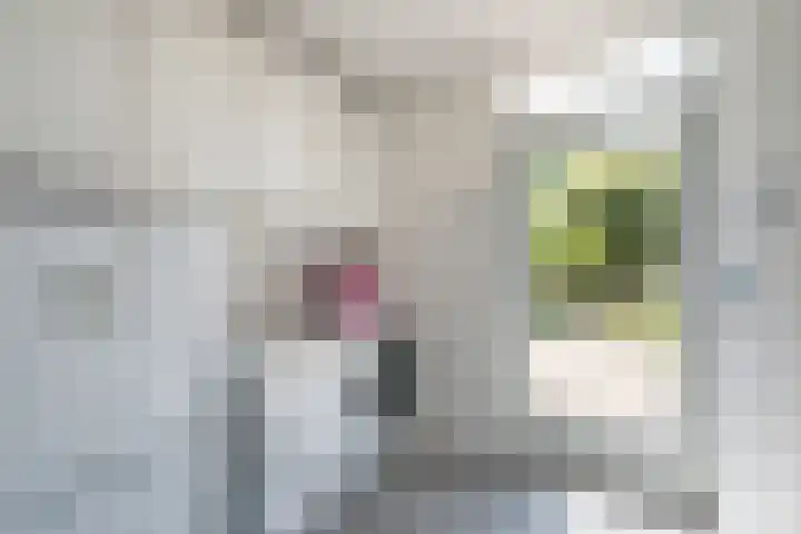 Reekerkooglaan 10 Heerhugowaard thumbnail 11
