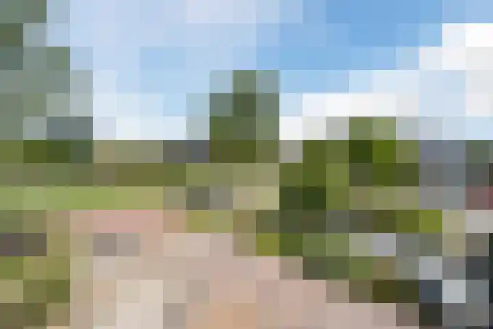 Reekerkooglaan 10 Heerhugowaard thumbnail 20