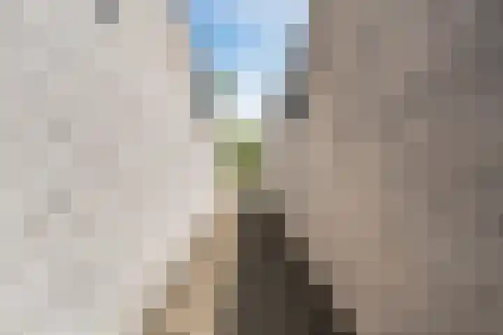 Reekerkooglaan 10 Heerhugowaard thumbnail 45