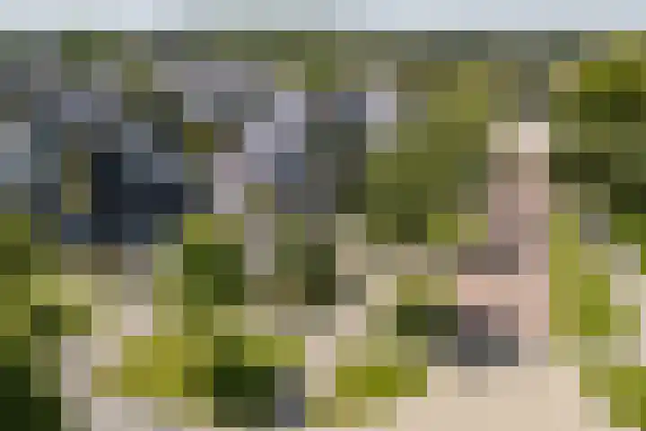 Reekerkooglaan 10 Heerhugowaard thumbnail 52