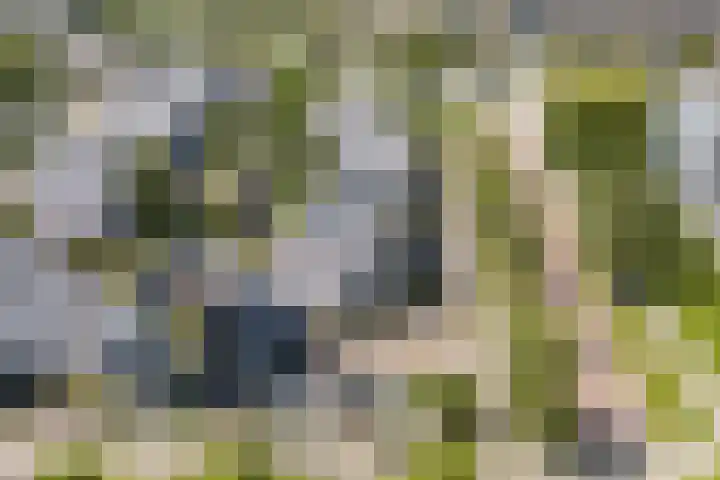 Reekerkooglaan 10 Heerhugowaard thumbnail 53