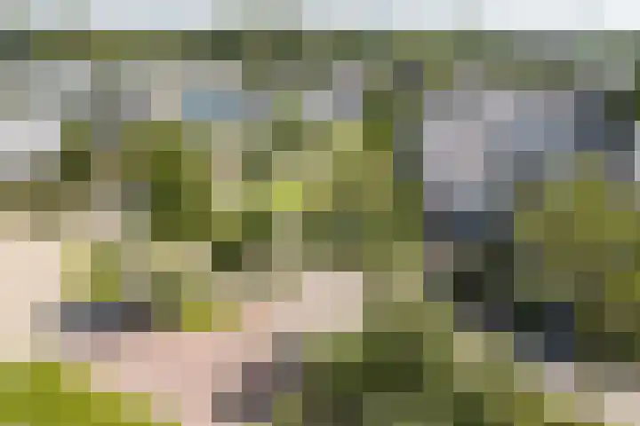 Reekerkooglaan 10 Heerhugowaard thumbnail 54