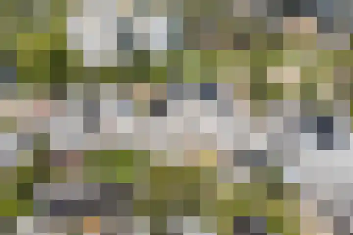 Reekerkooglaan 10 Heerhugowaard thumbnail 55