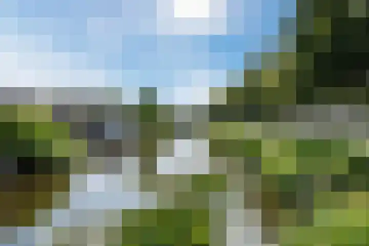 Reekerkooglaan 10 Heerhugowaard thumbnail 57