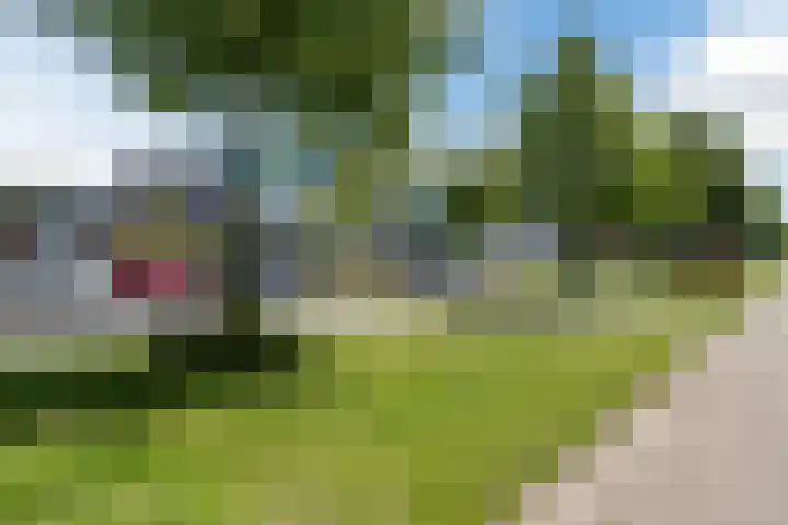 Reekerkooglaan 10 Heerhugowaard thumbnail 58