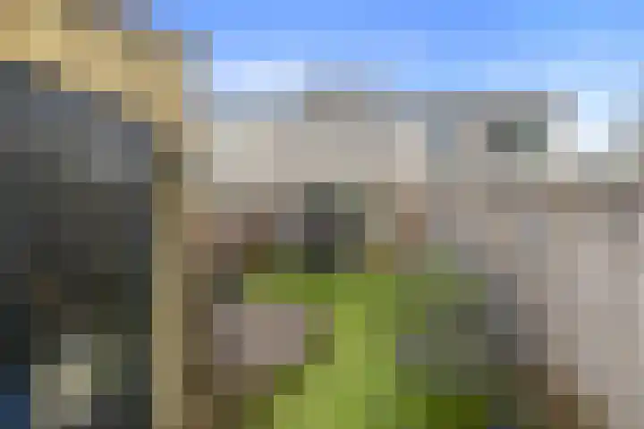Reekerkooglaan 28 Heerhugowaard thumbnail 25