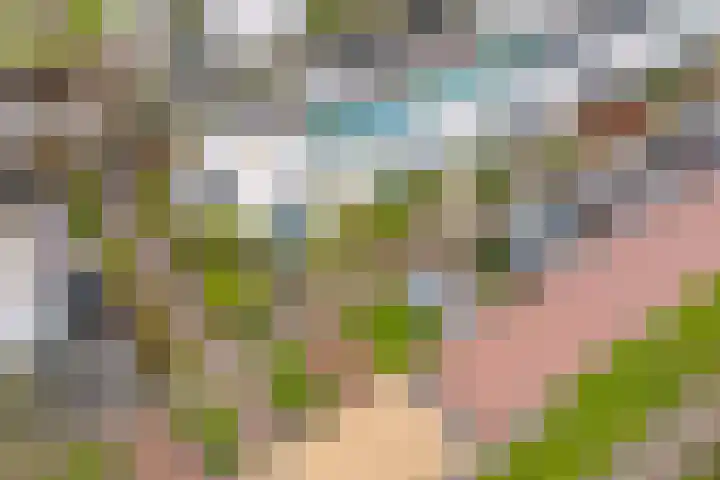 Reekerkooglaan 28 Heerhugowaard thumbnail 29