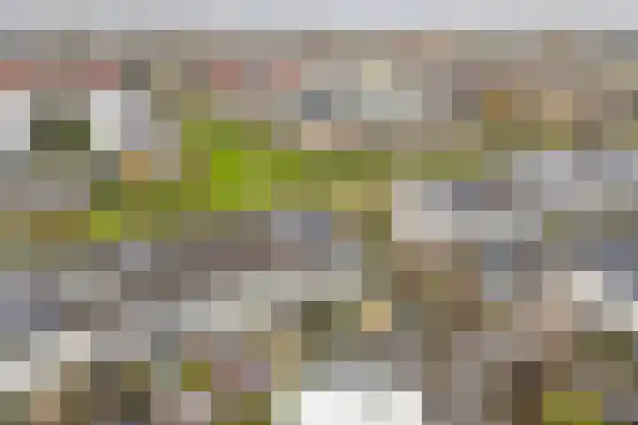 Reekerkooglaan 28 Heerhugowaard thumbnail 31