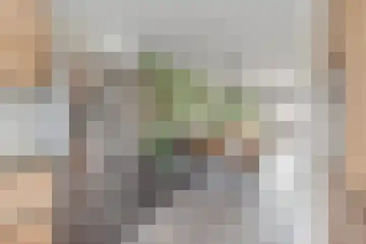 Reekerkooglaan 28 Heerhugowaard thumbnail 9