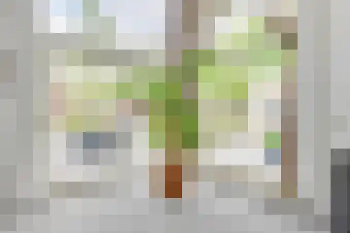 Reekerkooglaan 3 Heerhugowaard thumbnail 11