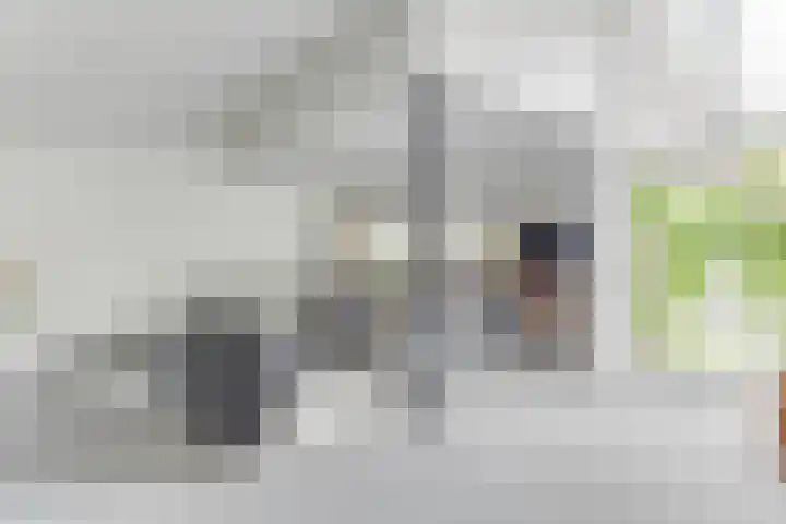 Reekerkooglaan 3 Heerhugowaard thumbnail 12