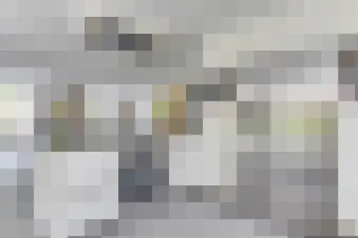 Reekerkooglaan 3 Heerhugowaard thumbnail 20