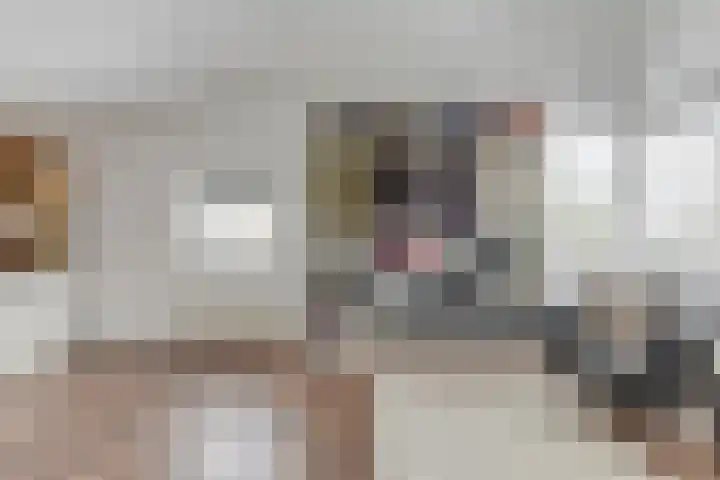 Reekerkooglaan 3 Heerhugowaard thumbnail 26