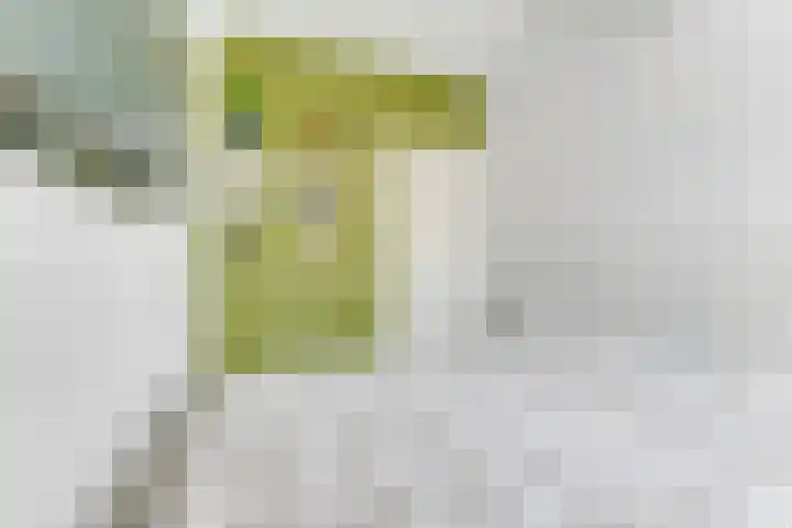 Reekerkooglaan 3 Heerhugowaard thumbnail 30