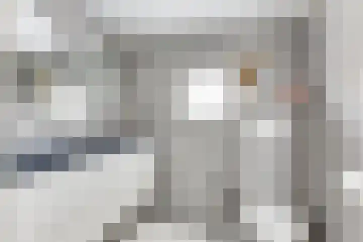 Reekerkooglaan 3 Heerhugowaard thumbnail 32